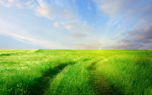 359352 (a): :2560x1600